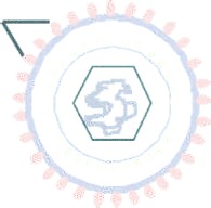Diagram of the hepatitis B virus and its surface antigen